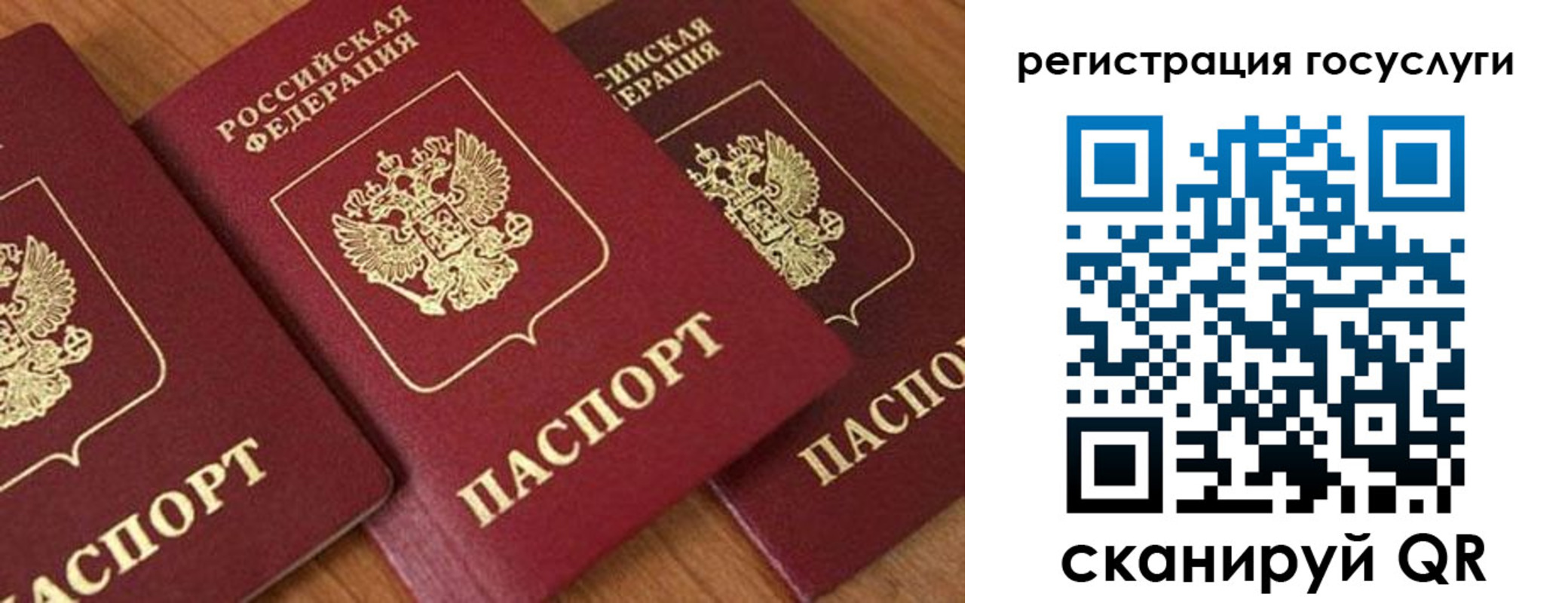 временная регистрация гарантия в Приморско-Ахтарске